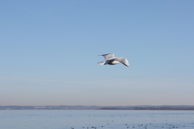 Flug über den Chiemsee...