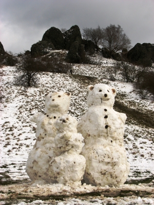 Schneebären am Dörnberg