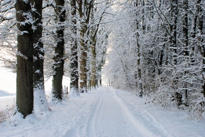 Winterspaziergang