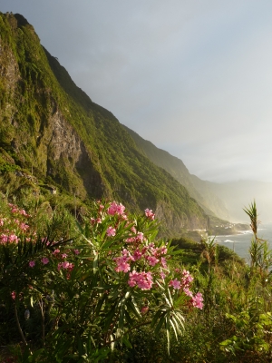 Madeiras Nordküste