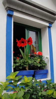 Blumenschmuck in Mogán