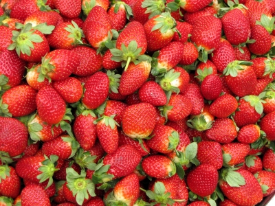 Erdbeeren - knackig frisch