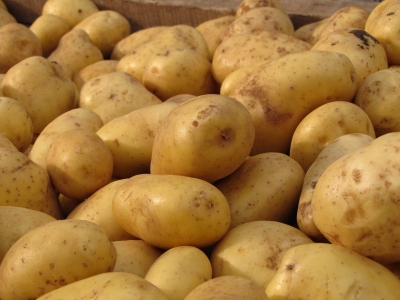 Schöne Kartoffeln