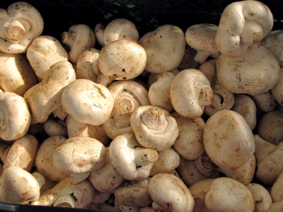 Pilzangebot auf dem Markt