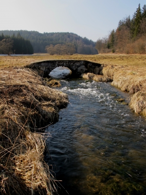 Vom Schnee befreit sind Wälder und Wiesen...