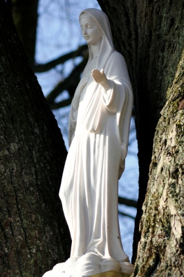 Maria im Baum