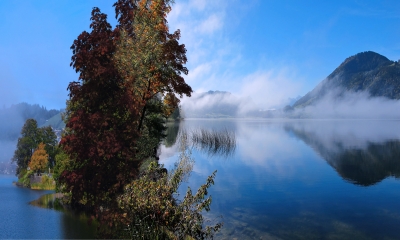 Idylle am See