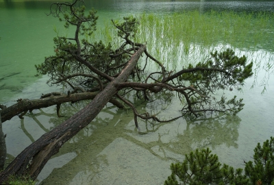 Lautersee bei Mittenwald