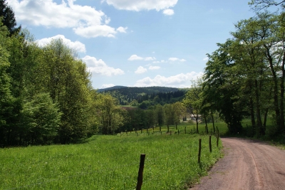 Wanderweg nach Mosbach