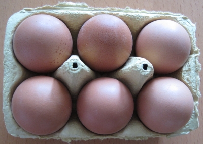 Sechs braune Eier