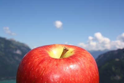 Apfel in der Höh