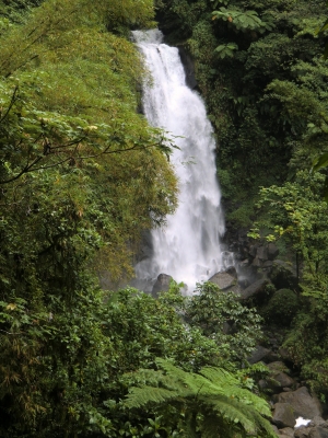 Tropischer Wasserfall