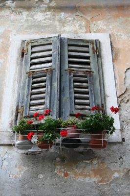 Blumenfenster 1