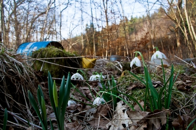 Flowers and waste