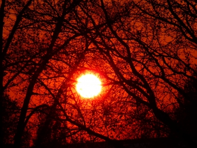 Sonnenuntergang am Niederrhein