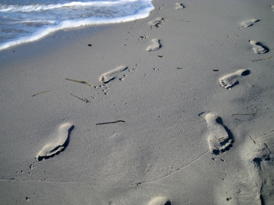 Spuren im Sand