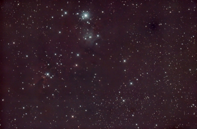 NGC 2264 und Konus Nebel im Monoceros
