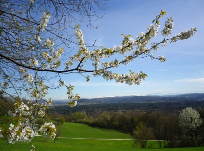 Ein Frühlingstag wie bestellt