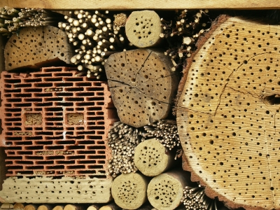 Bienenhotel Detail