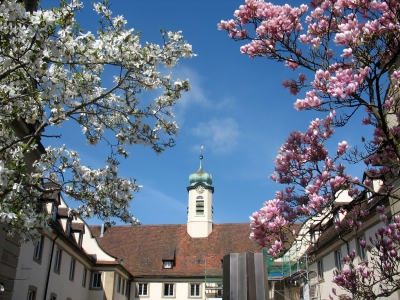 Goethe-Institut Schwäbisch Hall in voller Blüte