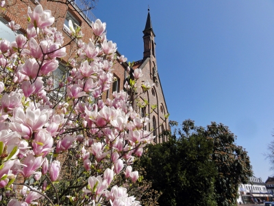 Frühling in Bad Rothenfelde