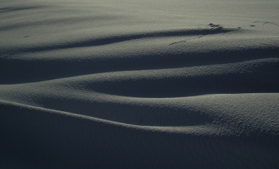 Schneekurven