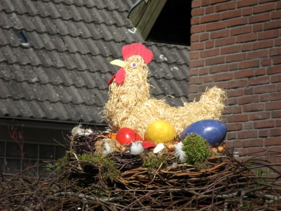 Huhn im Nest