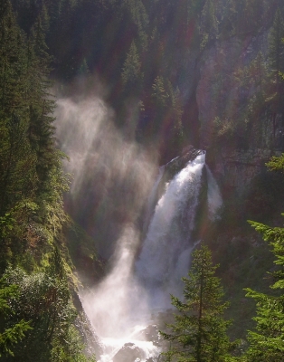 Licht und Wasser