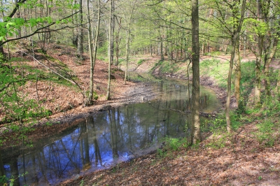 SPAZIERGANG AM SEE IV