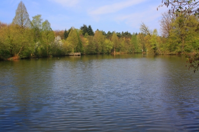 SPAZIERGANG AM SEE I