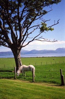 Idylle in Schottland