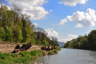 Natürliches Flussufer