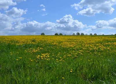 Mitten im April