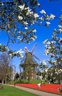 Frühling in Bremen