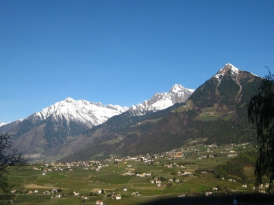 Dorf Tirol vor den Gipfeln der Texelgruppe