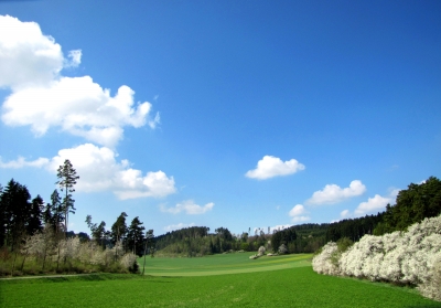 Frühling in Wald und Flur 2