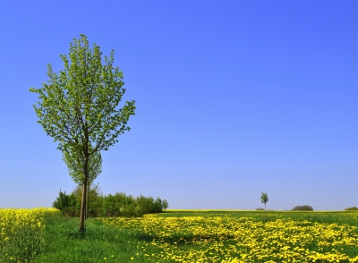 osterspaziergang