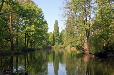 Am See im Tiergarten
