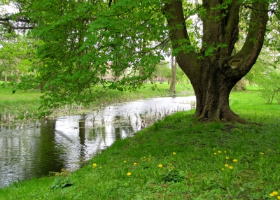 Im Schloßpark Ziethen