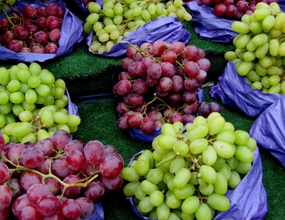 Frische Weintrauben