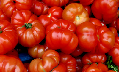 Riesen-Tomaten
