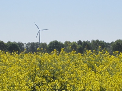 neue Energieformen