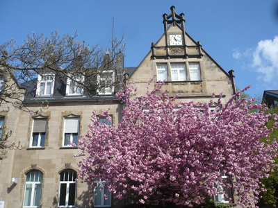 Altes Rathaus