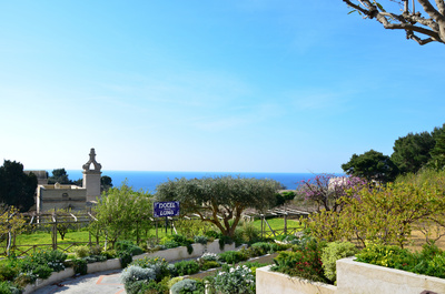 Augustinische Gärten - Capri