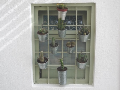 Blumenfenster