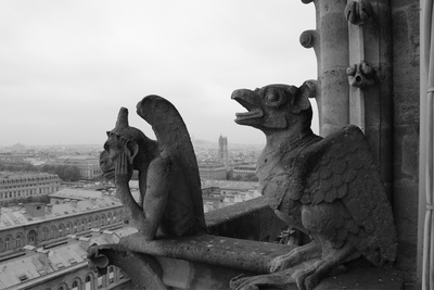 Gargoyle an Notre Dame