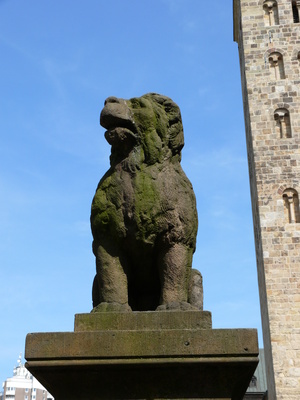Der Löwenpudel in Osnabrück