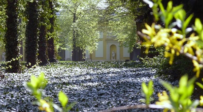 Frühling im Wörlitzer Park