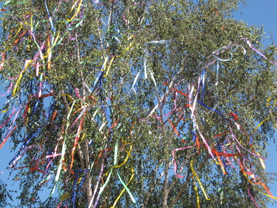 Geschmückter Baum  in Erfurt