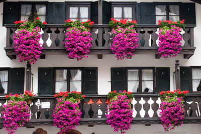 Blumenschmuck in Garmisch-Partenkirchen